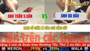 TRẬN 28 CPC5 24/11/2025