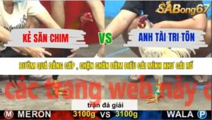 TRẬN 28 CPC5 NGÀY 20/11/2025