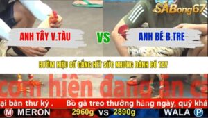 TRẬN 29 CPC5 NGÀY 19/11/2025