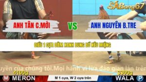 TRẬN 3 CPC4 NGÀY 20/11/2025