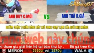 TRẬN 3 CPC5 NGÀY 13/11/2025