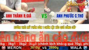 TRẬN 30 CPC5 NGÀY 21/11/2025