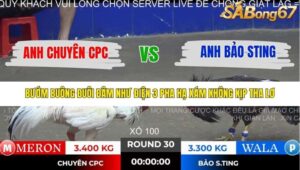 TRẬN 30 TONHON NGÀY 14/11/2025