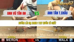 TRẬN 31 CPC4 24/11/2025