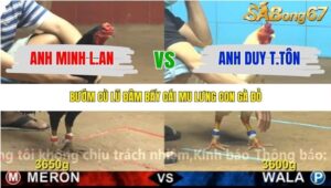 TRẬN 31 CPC4 NGÀY 8/11/2025