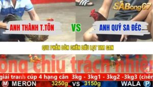 TRẬN 31 CPC5 NGÀY 21/11/2025