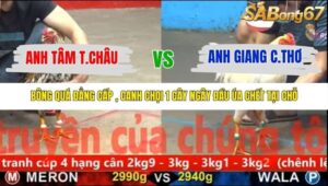 TRẬN 32 CPC5 NGÀY 12/11/2025