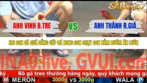 TRẬN 32 CPC5 NGÀY 8/11/2025