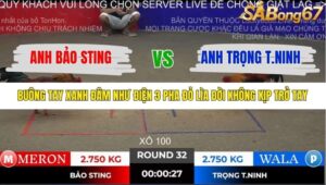 TRẬN 32 TONHON 2/11/2025