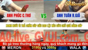 TRẬN 33 CPC5 NGÀY 10/11/2025