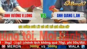 TRẬN 34 CPC5 NGÀY 21/11/2025