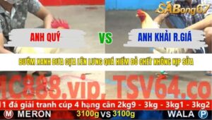 TRẬN 35 CPC5 NGÀY 10/11/2025