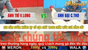 TRẬN 35 CPC5 NGÀY 19/11/2025