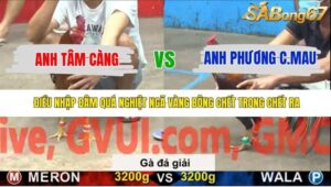 TRẬN 36 CPC5 NGÀY 20/11/2025