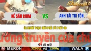 TRẬN 37 CPC5 NGÀY 20/11/2025