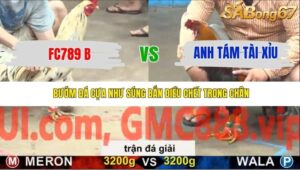 TRẬN 38 CPC5 NGÀY 20/11/2025