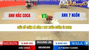 TRẬN 38 TONHON NGÀY 14/11/2025