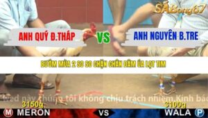 TRẬN 4 CPC4 NGÀY 17/11/2025