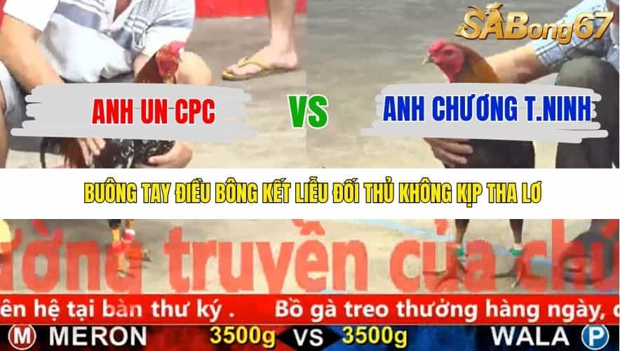 TRẬN 4 CPC5 25/11/2025