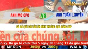 TRẬN 4 CPC5 NGÀY 15/11/2025