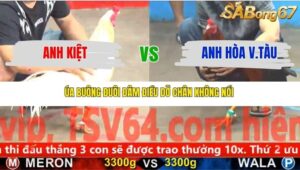 TRẬN 4 CPC5 NGÀY 19/11/2025