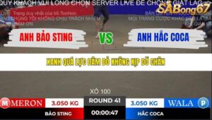 TRẬN 41 TONHON 2/11/2025