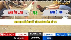 TRẬN 41 TONHON NGÀY 14/11/2025