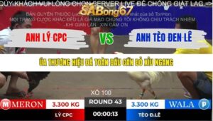 TRẬN 43 TONHON 2/11/2025