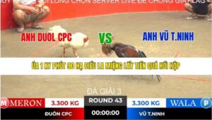 TRẬN 43 TONHON NGÀY 14/11/2025