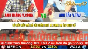 TRẬN 5 CPC5 NGÀY 12/11/2025
