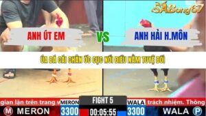 TRẬN 5 CPC6 5/11/2025