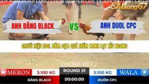 TRẬN 51 TONHON NGÀY 14/11/2025