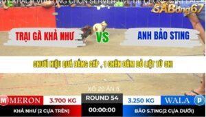 TRẬN 54 TONHON NGÀY 14/11/2025