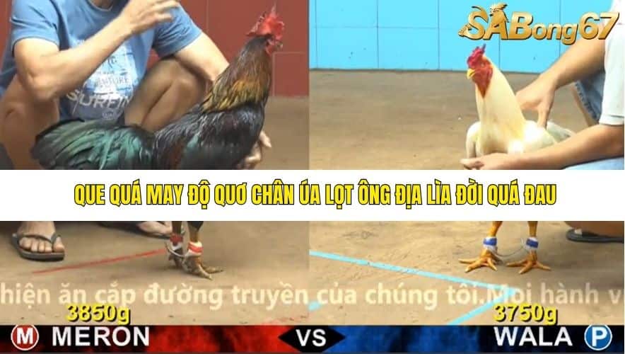 TRẬN 6 CPC4 NGÀY 25/11/2025