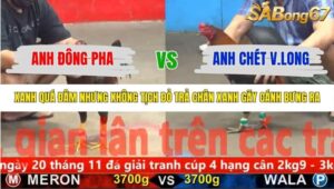 TRẬN 6 CPC5 8/11/2025