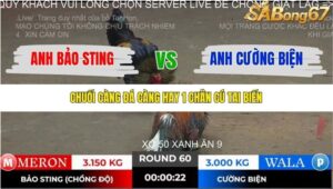 TRẬN 60 TONHON 2/11/2025