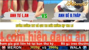 TRẬN 7 CPC5 8/11/2025