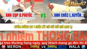 TRẬN 7 CPC5 NGÀY 20/11/2025