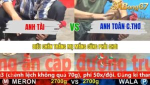 TRẬN 7 CPC5 NGÀY 24/11/2025