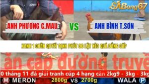 TRẬN 8 CPC5 NGÀY 20/11/2025