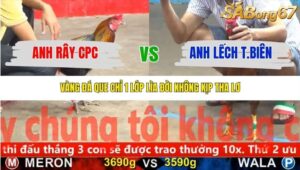 TRẬN 8 CPC5 NGÀY 9/11/2025