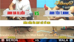 TRẬN 9 CPC4 NGÀY 19/11/2025