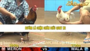 TRẬN 9 CPC4 NGÀY 24/11/2025